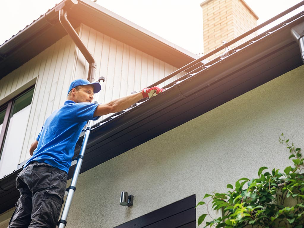 Professional gutter cleaning on ladder